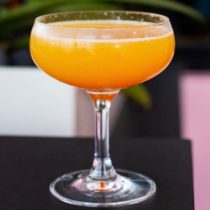 mimosa