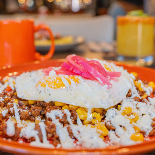 490586127_1248508936700602_8685620341766783425_n